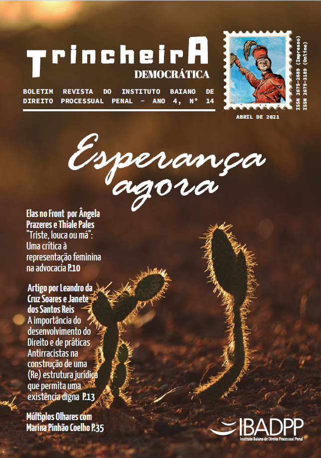 Capa: Ano 4, Edição n. 14