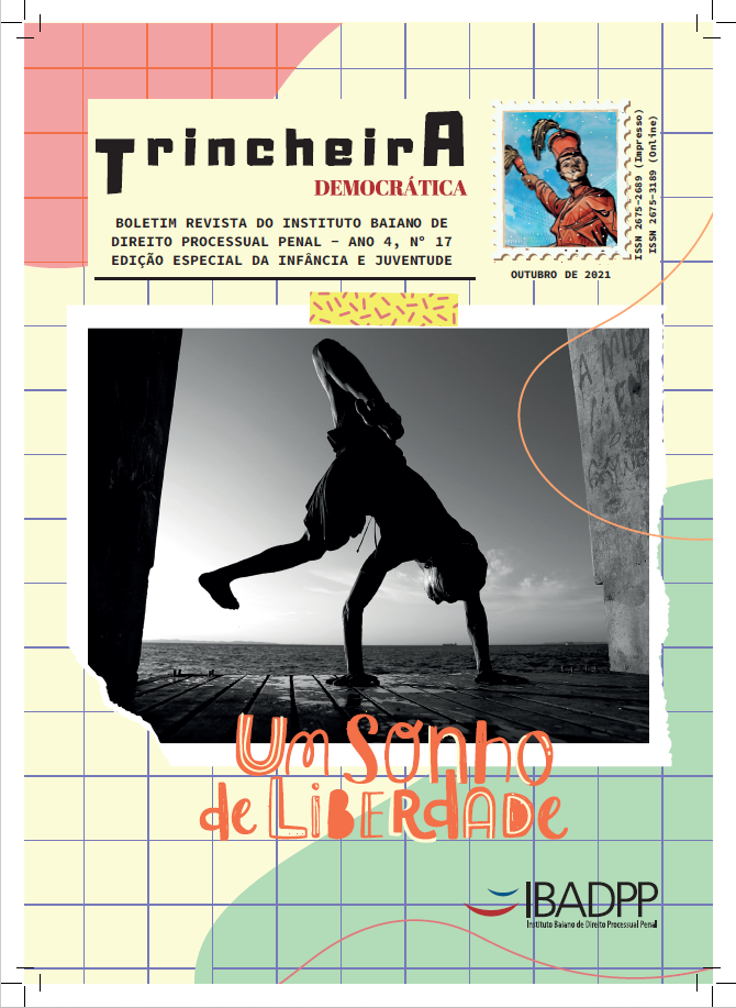 Capa: Ano 4, Edição n. 17