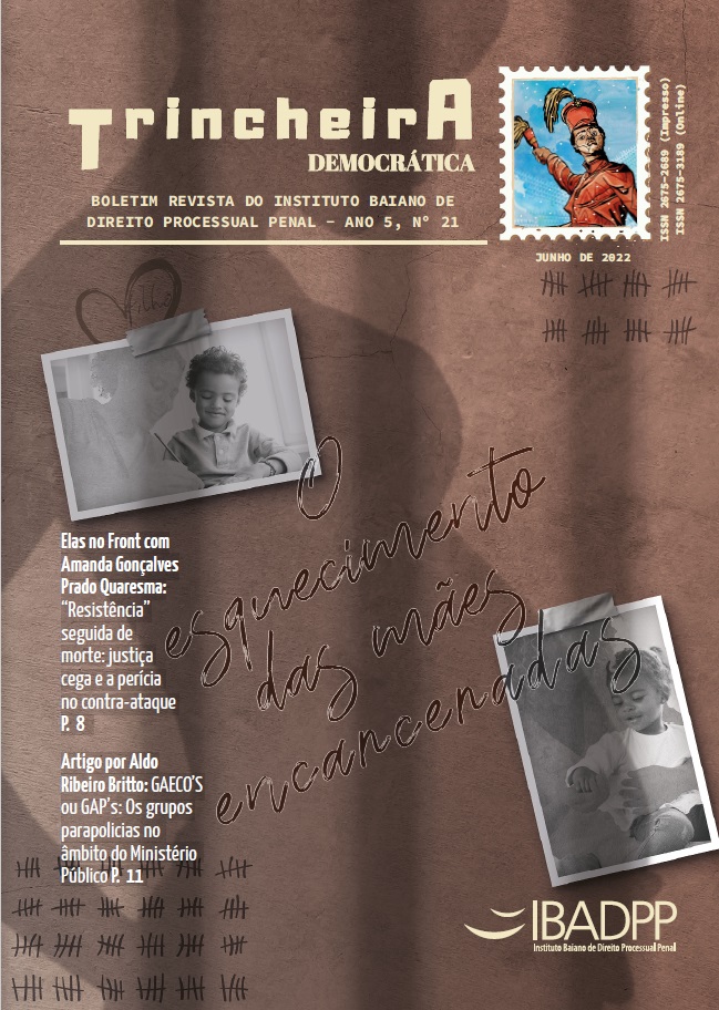 Capa: Ano 5, Edição n. 21