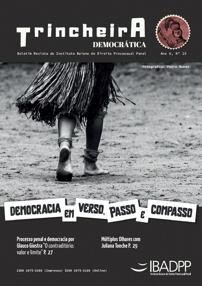 Capa: Ano 6, Edição n. 25