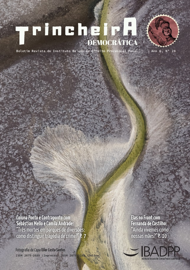 Capa: Ano 6, Edição n. 28