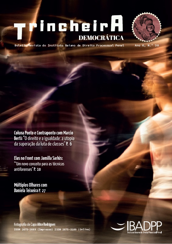 Capa: Ano 6, Edição n. 30