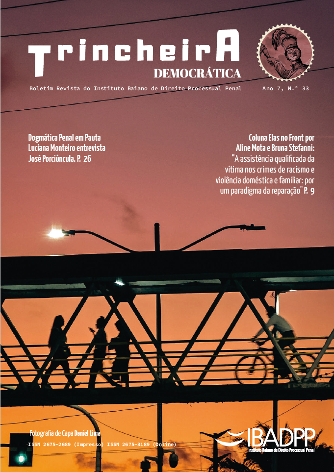 Capa: Ano 7, Edição n. 33
