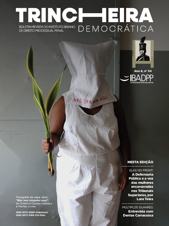 Capa: Ano 8, Edição n. 34
