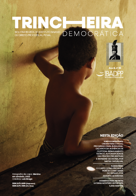 Capa: Ano 8, Edição n. 35